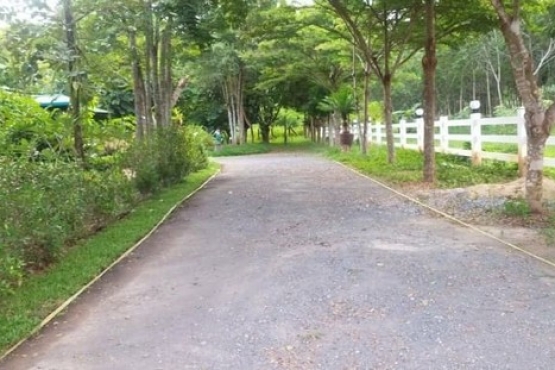 66299 บ้านสวนกาญจนบุรี  (7)