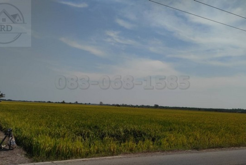 บางน้ำเปรี้ยว (10)_BRD