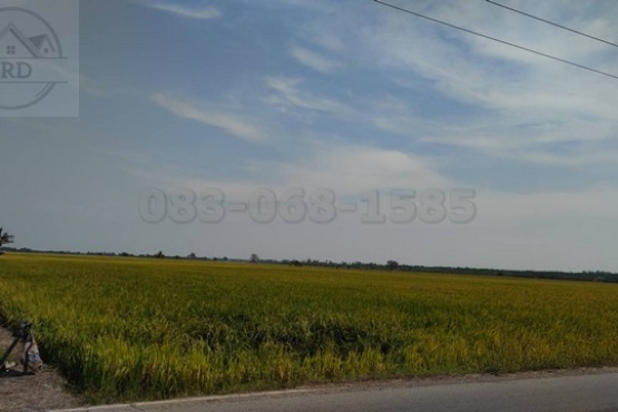 บางน้ำเปรี้ยว (10)_BRD