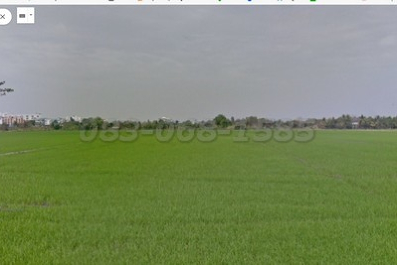 ขายที่ดินถนนอยู่วิทยา ผังสีเหลือง เนื้อที่ 100 ไร่ ขายไร่ละ 2.5 ล้านบาท หนองจอก กรุงเทพฯ