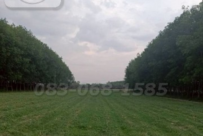 m800x1200 (4)_BRD