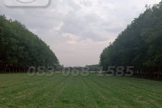 m800x1200 (4)_BRD