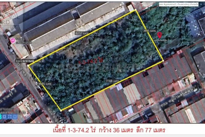 ขายถูกขายต่ำกว่าราคาตลาดมาก ที่ดิน ถนนพิบูลย์สงคราม เนื้อที่ 774.2 ตารางวา ขายยกแปลง 31 ล้าน เมือง นนทบุรี